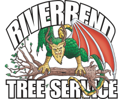 Riverbend Tree